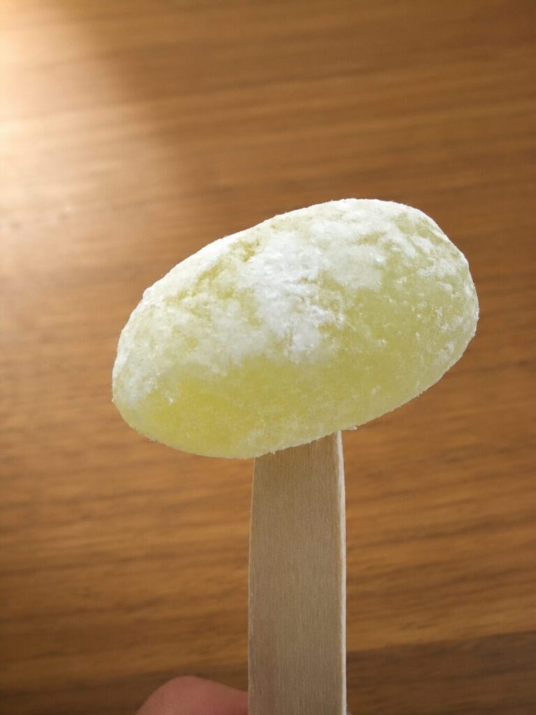 楊枝に刺したマスカット味きびだんごのアップ。もちもちの生地に粉がまぶされている