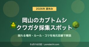 岡山のカブトムシ・クワガタ採集スポット2026 採れる場所・ルール・コツを地元目線で解説