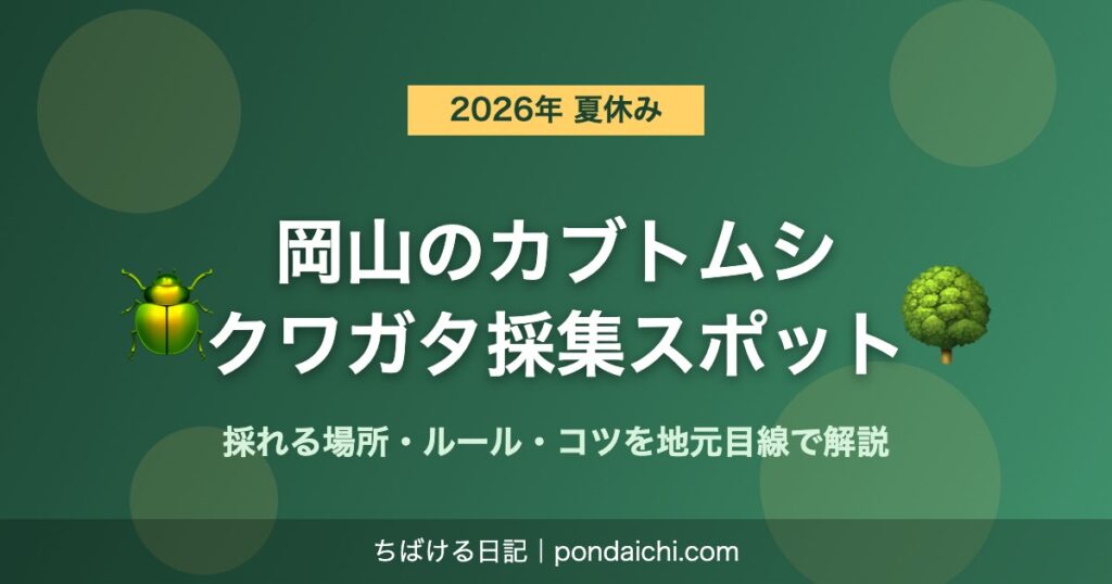 岡山のカブトムシ・クワガタ採集スポット2026 採れる場所・ルール・コツを地元目線で解説