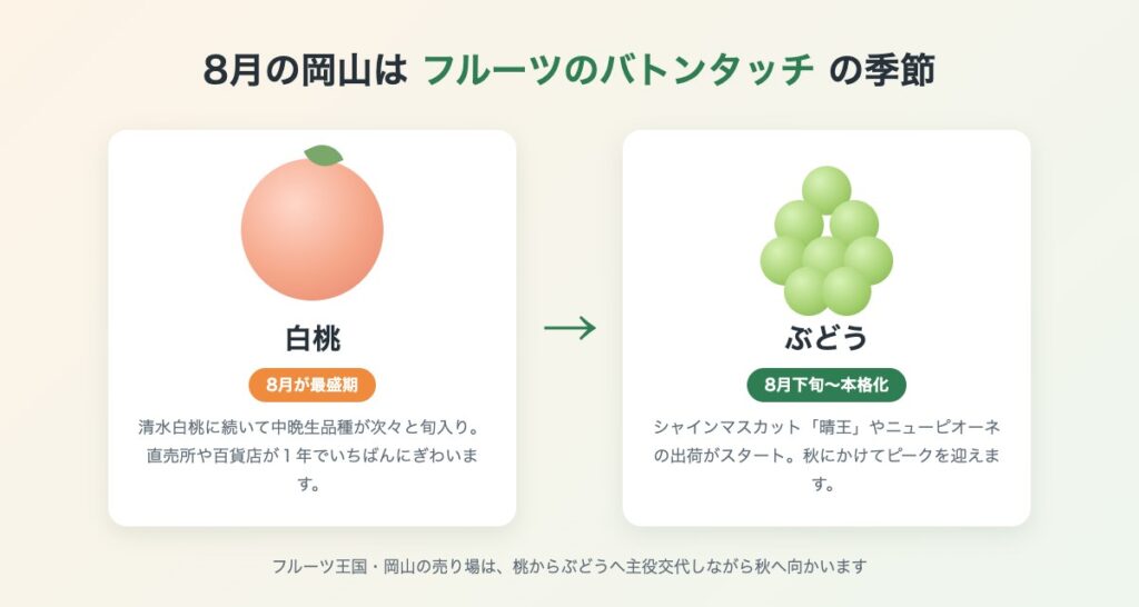 8月の岡山はフルーツのバトンタッチの季節。白桃が最盛期を迎え、8月下旬からシャインマスカットなどぶどうの出荷が本格化する図解