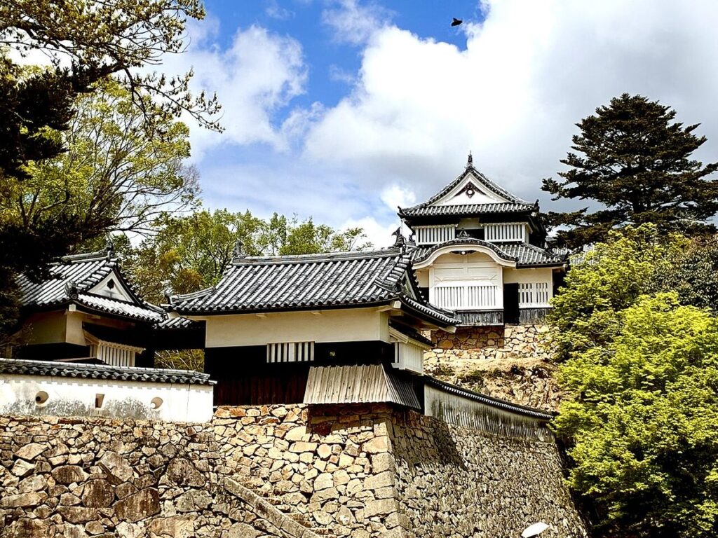 現存する三の平櫓東土塀と天守