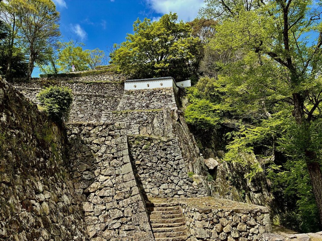 登城道の高石垣と石段
