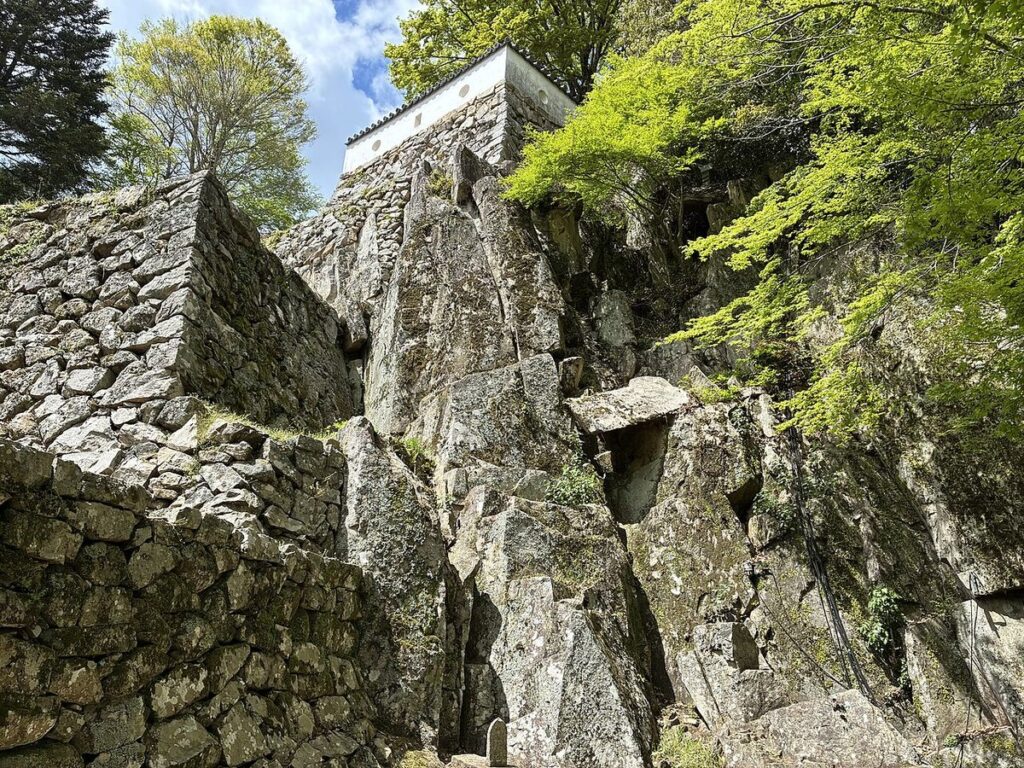 大手門跡にそびえる天然の岩壁と石垣