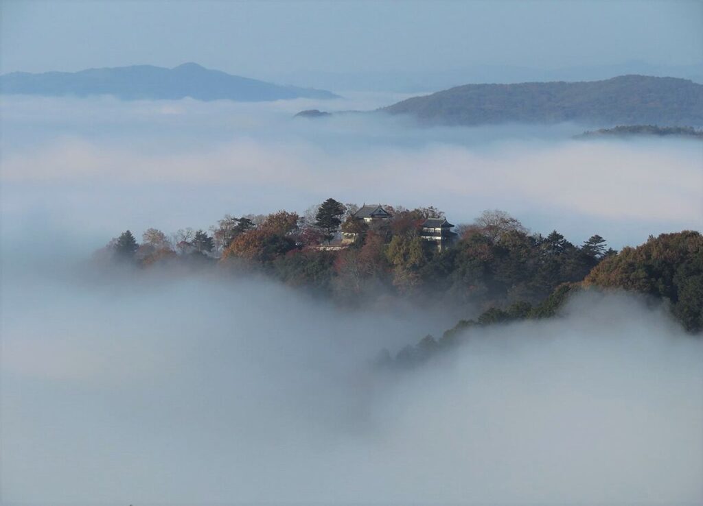 雲海に浮かぶ備中松山城を展望台から望む