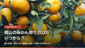 岡山のみかん狩り2026はいつから？鹿久居島・黒井山の7農園と料金