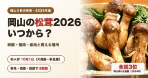 岡山の松茸2026はいつから？時期・値段・産地と買える場所